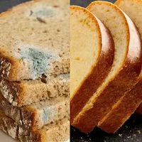 Conservateur alimentaire naturel de qualité alimentaire Sorbate de potassium Propionate de calcium 1 kg pour la pâtisserie.