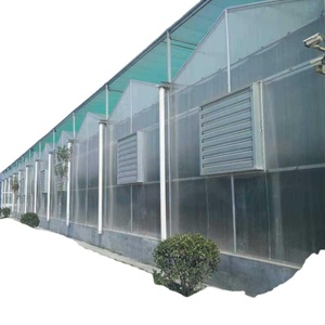 <span class=keywords><strong>Super</strong></span> Alta Qualidade Tamanho Grande Multi Túnel Estufa Agrícola Para Flor De Tomate Vegetal Cogumelo Crescendo