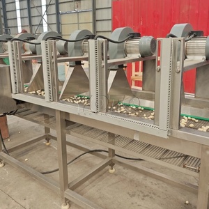 Línea de Máquinas Peladoras, Clasificadoras y Separadoras de Ajo Hadof para Plantas de Procesamiento de Vegetales, Larga Vida Útil - Product Image 3