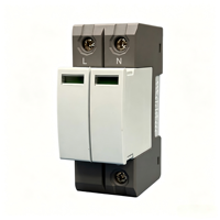Dispositif de protection contre les surtensions AC 2P 40KA SPD T2, parafoudre 275-385VAC, protection contre les surtensions pour système d'alimentation monophasé 220V