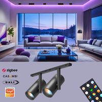 Nouvelle conception de rail lumineux magnétique à double tête, éclairage modulaire flexible, Zigbee Tuya, éclairage magnétique intelligent à intensité variable pour hôtel