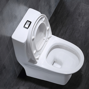 Piso barato mudo Flushing siphonic de una pieza agua armario de baño de cerámica wc - Product Image 5