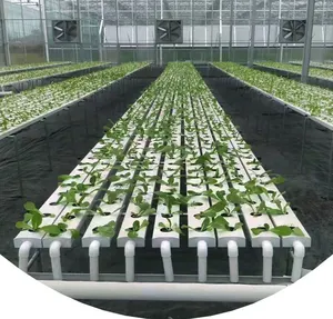 Yapraklı sebzeler nft hydroponic kanal hydroponic nft kanalı