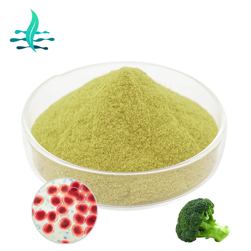 Bulk Pure Broccoli Seed Extract 0.1% 1% 13% Sulforaphane Powder CAS 4478-93-7
