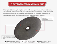 Disque de polissage diamanté à grain 46-3000 pour usine, plaque de façettage, meule plate, outil de lapidaire