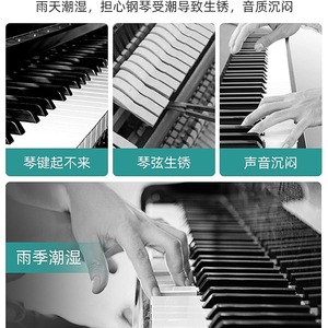 Piano Dedicated Desiccant <b>Dehumidifier</b> Chloride Calcium High Absorption Solid Disposable For Instrument Moisture Protection - Product Image 1