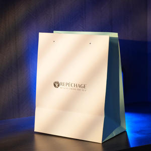 Factory Hot Sales Custom Logo Film Laminated Art Paper Bag & <b>Box</b> Printed Packaging - Product Image 1