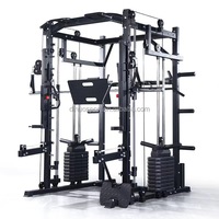 Machine Smith Commerciale Complète et Fonctionnelle Dinuo Steel Gym pour Exercices des Bras et Musculation Unisexe