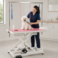 Table de toilettage pour animaux de compagnie XY ACMR02 avec élévateur électrique, hauteur réglable, plateau large, boucles de sécurité et moteur silencieux pour usage quotidien