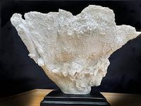 Ornement en résine artificielle de corail blanc Top Grace avec base en acrylique, décoration de table