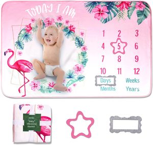 Minky Fleece mensile Milestone Baby coperta foto sfondo personalizzato foto Baby mensile Milestone coperta - Product Image 5