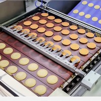Multifunctionele automatische fruit- en gepofte voedselverwerkingsmachine, broodbakmachine, voedselsterilisator, functies, 304 roestvrij staal, 1 jaar garantie