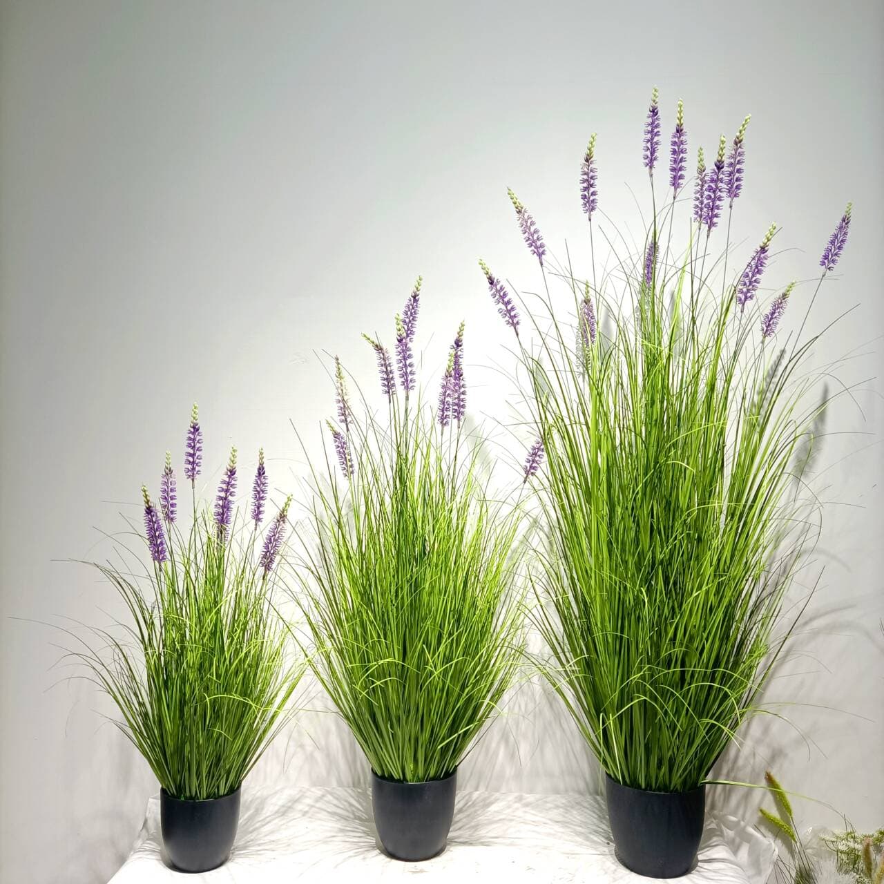Light purple