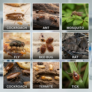 Insecticida <span class=keywords><strong>Cipermetrina</strong></span> 80g/L + Tetrametrina 40g/L + S-Bioaletrina 7g/L + Piperonil Butóxido (PBO) 120g/L EC - Product Image 5