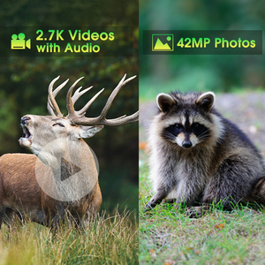 <span class=keywords><strong>Caméra</strong></span> au Lithium vidéo 1080P appareils photo numériques monoculaires batterie Vision portée sécurité Thermo infrarouge <span class=keywords><strong>Wifi</strong></span> <span class=keywords><strong>caméra</strong></span> <span class=keywords><strong>de</strong></span> <span class=keywords><strong>chasse</strong></span> - Product Image 3