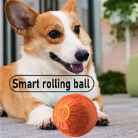 Nouveau chien chat interactif balle rebondissante intelligent USB automatique roulement balle magique électronique chat chien jouet animal jeu interactif jouet