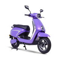 Vente en gros transfrontalière de vélos électriques, motos électriques pour adultes avec sièges allongés, options personnalisables