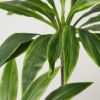Arrangement en pot de Cordyline Ti artificielle arc-en-ciel de qualité supérieure, plante tropicale artificielle pour décoration intérieure et aménagement paysager