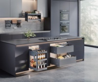 Accessoires de rangement de cuisine sur mesure, tiroir coulissant à 2 niveaux, tiroir à épices étanche et antirouille