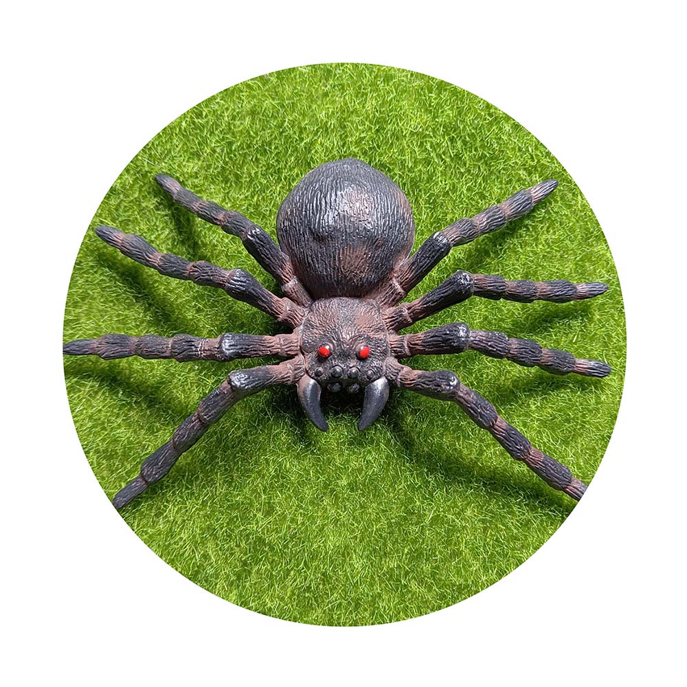 Décorations D'araignée Géante D'Halloween, 60 Pouces Réaliste Grande Araignée Crâne Effrayante, Fausse Araignée Poilue, Pour Halloween Intérieur Extérieur Cour Maison Fête Decorat | Fruugo NO