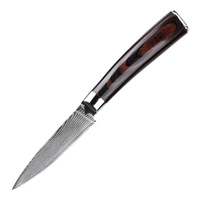 Couteau à éplucher de luxe Damas 3,5 pouces, lame en acier à haute teneur en carbone à motif ondulé, manche en bois, cadeau pour la cuisine, couteau à fruits