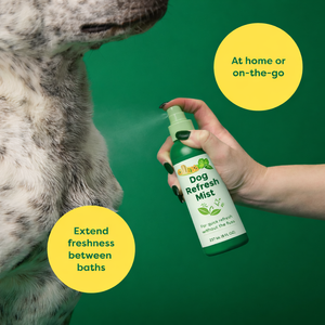 <b>Dog</b> <b>Deodorizing</b> Conditioner <b>Spray</b> | Odor Eliminating Conditioning <b>Spray</b> for All Coat Types | White Tea & Basil Scent - Product Image 2