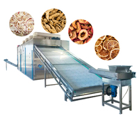 Doorlopende Banddroger Voor Ui Chili Gember & Knoflook-Fruit-En Plantaardige Dehydratatieapparatuur
