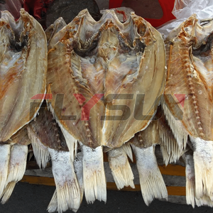 Four de séchage à pompe à chaleur pour poissons et fruits de mer, machine de transformation alimentaire avec moteur PLC en acier inoxydable – Offre Spéciale - Product Image 2