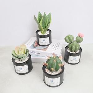Plante décorative artificielle de fleur artificielle succulente de petit <span class=keywords><strong>cactus</strong></span> avec le VP-HL007 de pot - Product Image 3