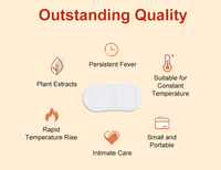 Dispositif de soulagement de la douleur de la période des femmes produit patch chaud menstruel