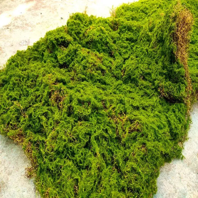 ZEFZ simulated moss green flocking micro-landscape landscape decoration bonsai plant wall turf