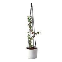 Wärmebehandelter Metall-Pflanzenstützkäfig mit Verzinkter PVC-Beschichtung Einfache Montage Obelisk Garten-Rankgitter für Klettertomaten
