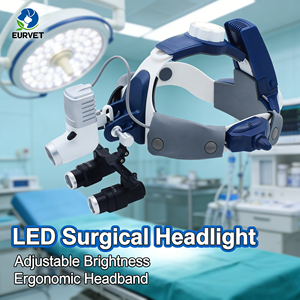 Lámpara Quirúrgica LED de Alta Luminosidad con Lupa para Procedimientos Dentales, Equipo <span class=keywords><strong>Veterinario</strong></span> EUR VET - Product Image 1