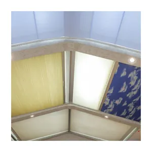 Skylight Honeycomb Day Night Blind Thermal Reflect Motorised Blinds