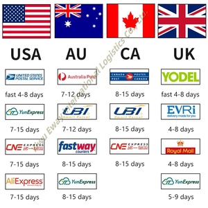 直接送货购物代理履行服务英国直接送货中国到英国Ddp直接送货代理 - Product Image 6