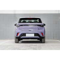2026 Gris BYD Dolphin 4WD EV Voiture Nouvelle Option Complète Mode 150 km/h 4x4 Véhicule Électrique Joint/Han/Tang New Energy Vehicle