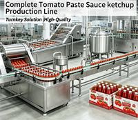 Turnkey complete tomatenproductielijn, complete set machines voor tomatenpuree, ketchup en tomatensap.