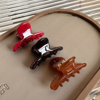 Accessoires de cheveux personnalisables pour femmes, pince à requin à l'acide acétique avec logo en lettres anglaises, style de fête élégant