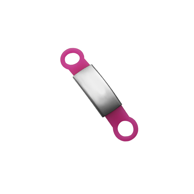 Rose rouge-plaque d'argent