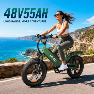D55 Aluminum Alloy Frame <b>Electric</b> City Bike 20" Fat Tire 750W 48V55Ah E-bike Dual Suspension Long Range E-Bike - Product Image 1