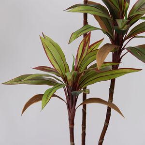 Plante artificielle Cordyline Fruticosa pour aménagement paysager, ornement de jardin, décoration intérieure en plastique, plantes artificielles, fausses plantes - Product Image 3