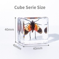 Cube en cristal époxyde de résine 4*4*4cm vraie araignée avec le vrai insecte de Web dans la résine de spécimen de résine bloque des ressources pédagogiques de presse-papiers