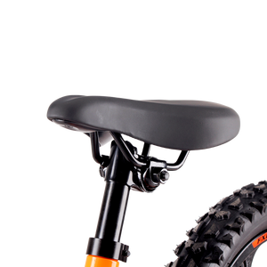 Bicicleta sin Pedal para niños de 250W, 36V, 16 pulgadas, patinete eléctrico para niños, bicicleta de equilibrio para bebés - Product Image 5