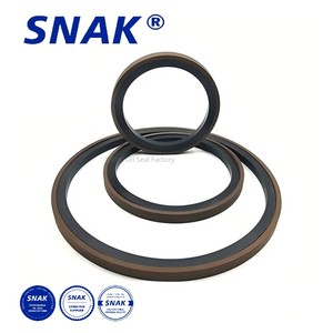 Joint de cylindre à anneau SNAK Glyd Joint de piston à double effet Ptfe Piston PTFE NBR HNBR EPDM FKM AFLAS FFKM Joint à anneau rempli - Product Image 4