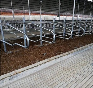 Nuovo Design di alta qualità fienili da latte gabbie per animali con bancarelle libere vacca che posa letti per bestiame attrezzature agricole - Product Image 6