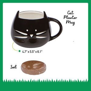 Produttore diretto Petlinks Nibble <span class=keywords><strong>Licious</strong></span> Organic Cat Grass tool set Kit - Product Image 3