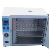 136L 225LCustomized Electric Constant Temperature Blast Drying Oven