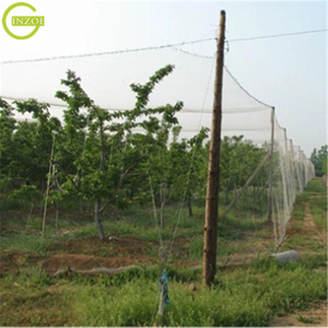 <span class=keywords><strong>Malla</strong></span> de seguridad <span class=keywords><strong>para</strong></span> <span class=keywords><strong>gatos</strong></span> a precio competitivo <span class=keywords><strong>para</strong></span> <span class=keywords><strong>balcón</strong></span> - Product Image 6