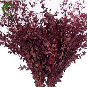 Séchées d'<span class=keywords><strong>eucalyptus</strong></span> conservées feuilles branches d'<span class=keywords><strong>eucalyptus</strong></span> tige fleurs décoratives <span class=keywords><strong>guirlande</strong></span> plantes - Product Image 1