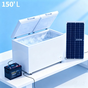 300L Off-Grid Solar <b>Freezer</b> Battery Backup Energy-Saving Eco-Friendly Refrigerator Sliding Door Hotel Commercial Household Use - Product Image 1
